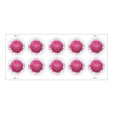 Global Chrysanthemum Stamps International 2020 (100pcs) - Forever Stamply