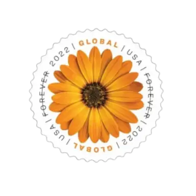 USPS 2022 Global African Daisy single stamp, overhead photo of Osteospermum daisy with purple petals and gold center